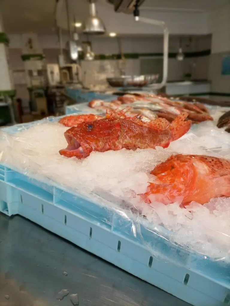 Marisco expuesto sobre hielo en Pescados Cabo de Palos I