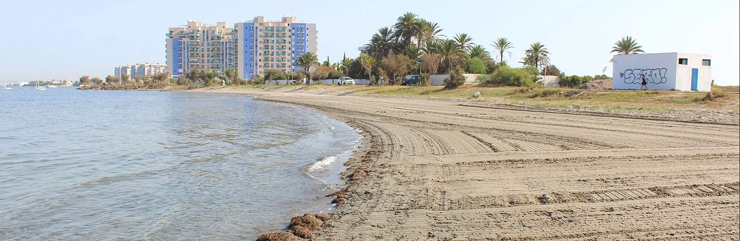 Orilla curva de Playa Chica con los edificios altos de La Manga al fondo