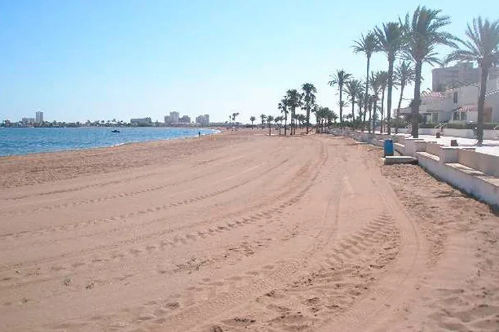 Hilera de palmeras junto al paseo marítimo de Playa Honda, con la arena en primer plano