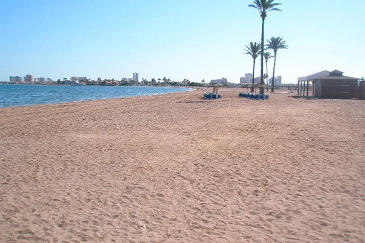 Palmeras y una sombrilla de paja sobre la arena de Playa Paraíso, con edificios altos al fondo