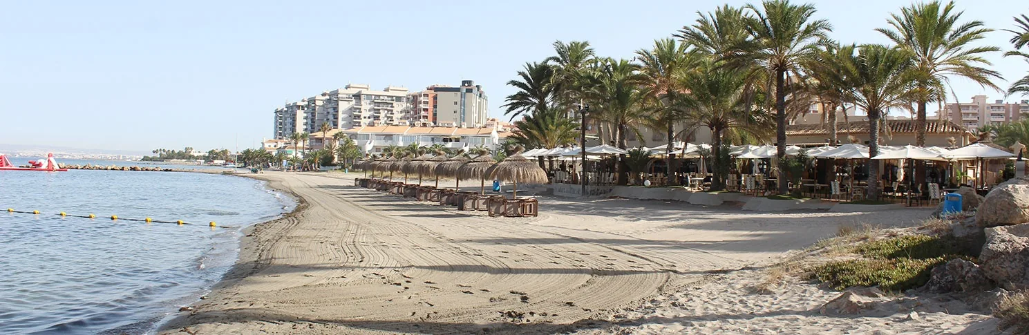 Orilla curva de Playa La Veneziola con palmeras y los edificios del final de La Manga