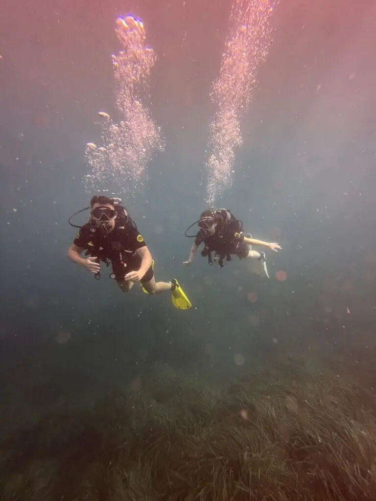 Inmersión guiada de Albadive en la Reserva Marina de Cabo de Palos