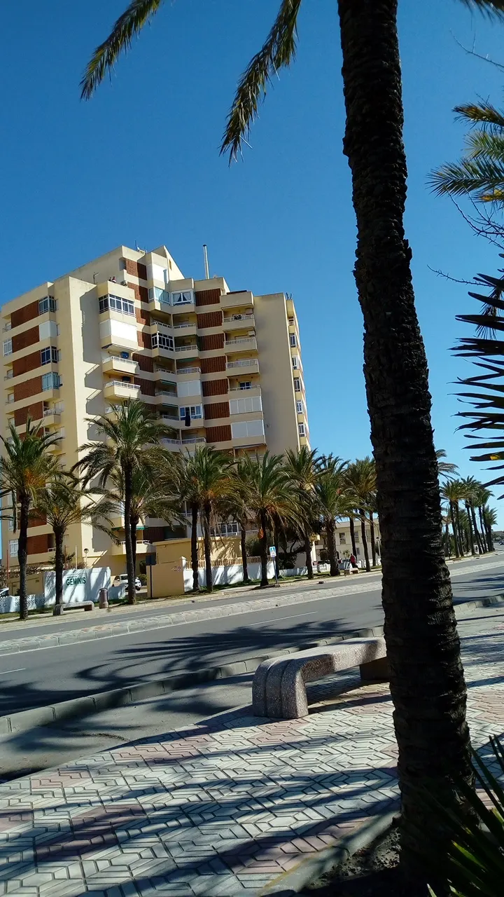 Fachada del edificio Géminis en Cabo de Palos, entre palmeras