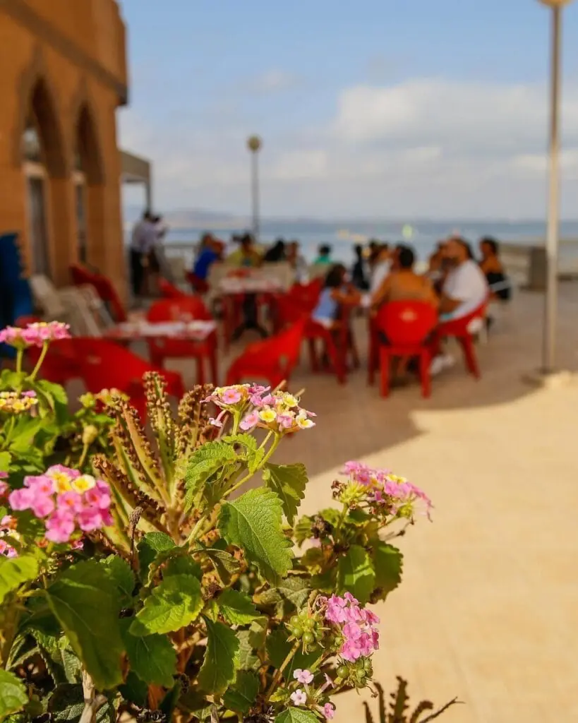 Terraza de Café Royal con flores en primer plano y vistas al mar