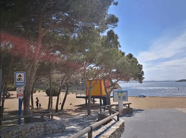 Pinada junto a la Cala del Pino, La Manga del Mar Menor