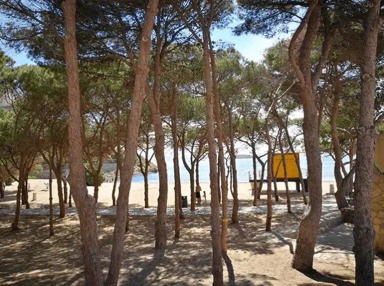 Aguas tranquilas del Mar Menor en la Cala del Pino