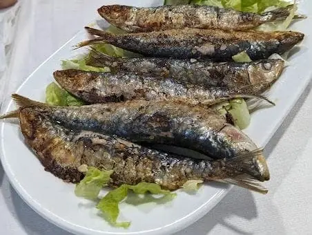 Terraza de Restaurante Casa Paco, La Manga