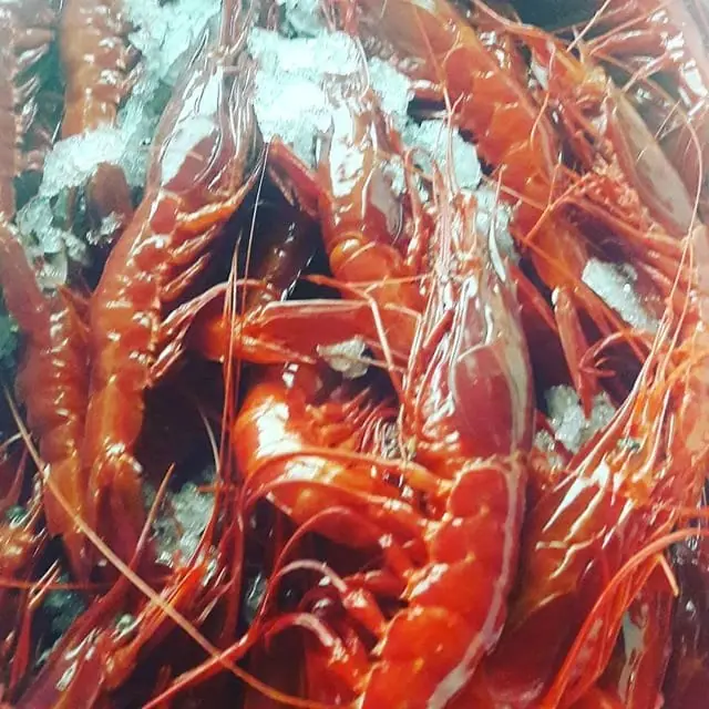 Foto de 4 latas