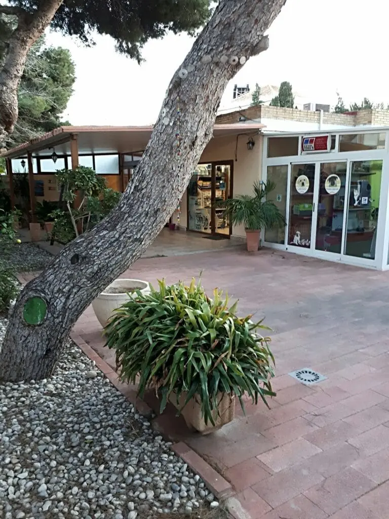 Interior de Clínica Veterinaria Cabopalos en Cabo de Palos
