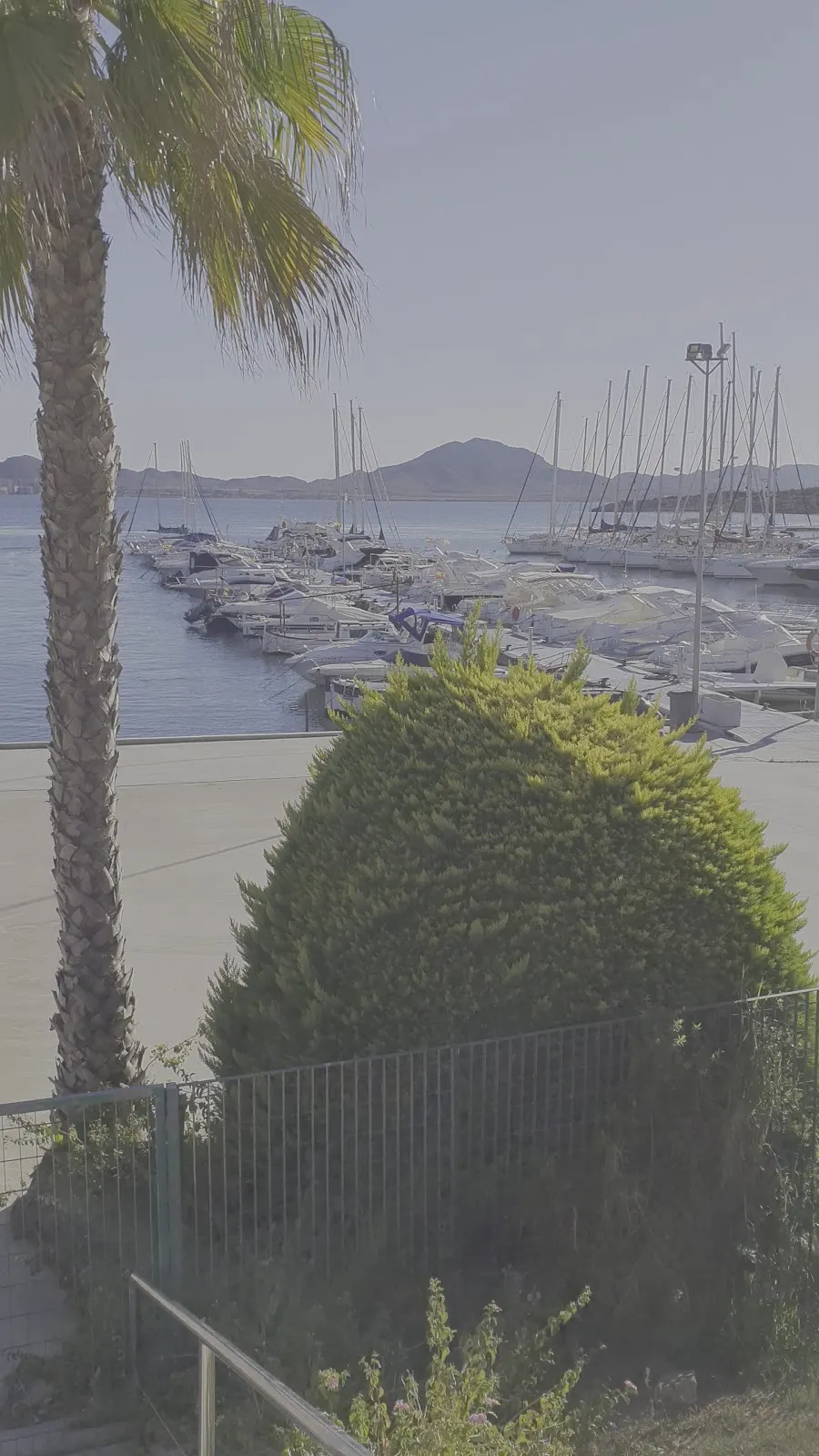 Vista de los amarres del puerto deportivo desde el jardín del Club Náutico Dos Mares