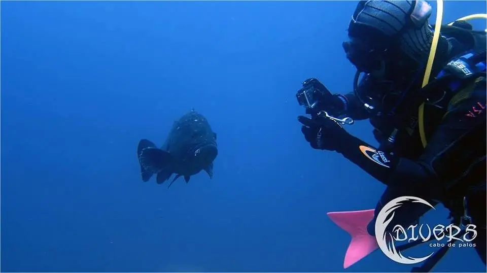 Fachada de Divers Cabo de Palos junto a la Reserva Marina de Islas Hormigas