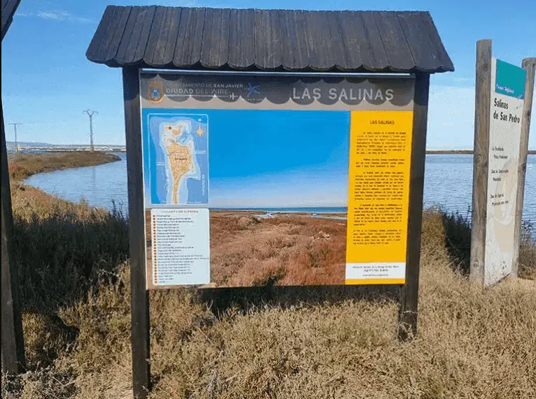 Dunes and saltmarsh in the Encañizadas salt-flat ecosystem