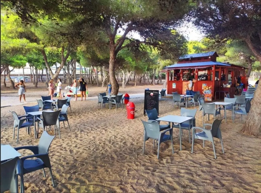 Terraza a la sombra de los pinos en El Entorno de Emely, Cala del Pino