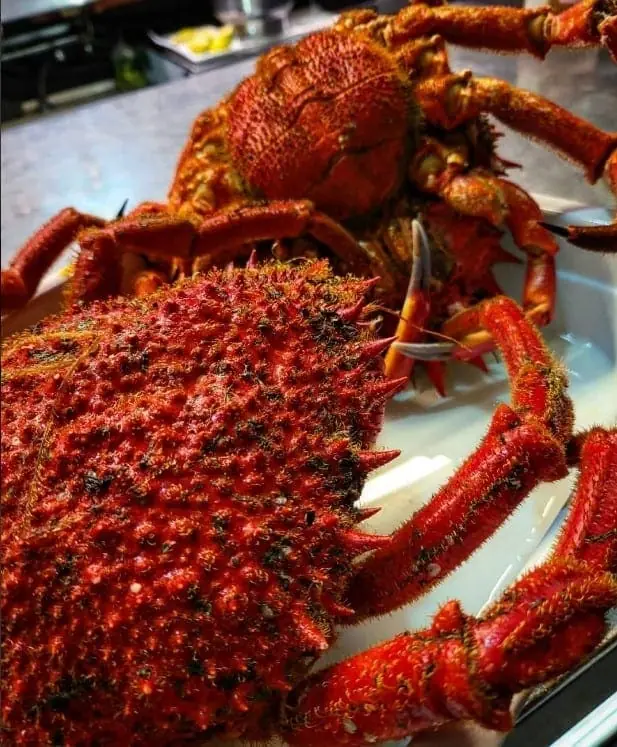 Foto de Restaurante El Pulpito en Puerto Tomás Maestre