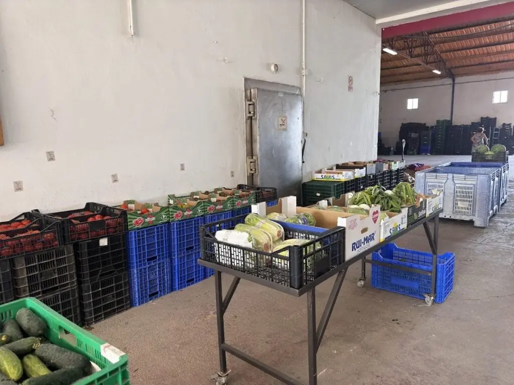 Fruta y verdura fresca en Frutas y Verduras Rodríguez, La Manga