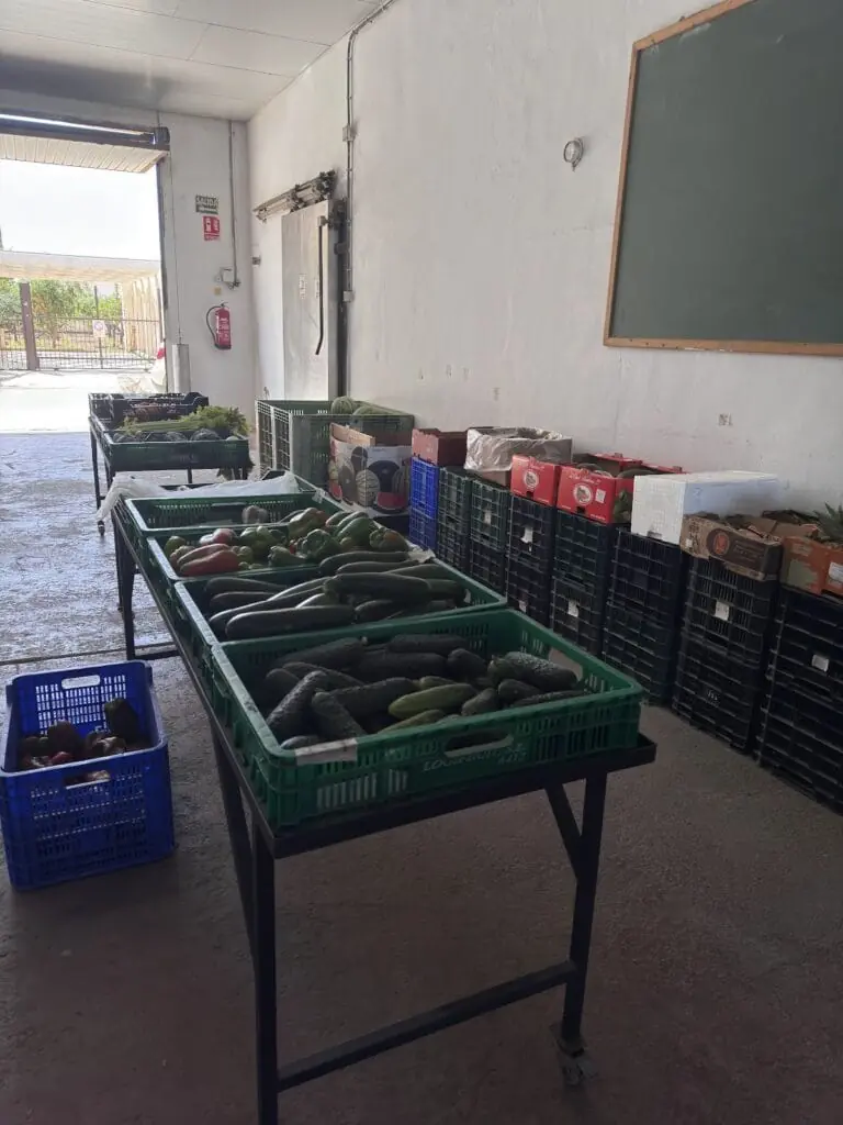 Puesto de Frutas y Verduras Rodríguez en Rivera Sur, El Vivero