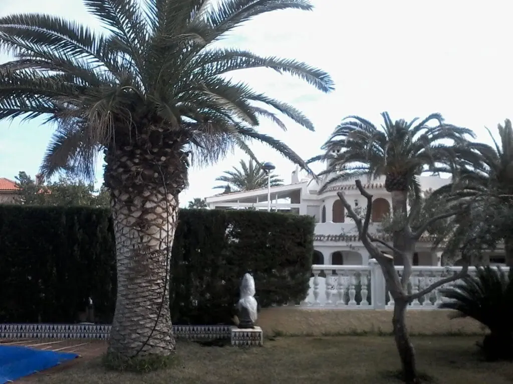 Detalle de un jardín cuidado por Gardaniel's