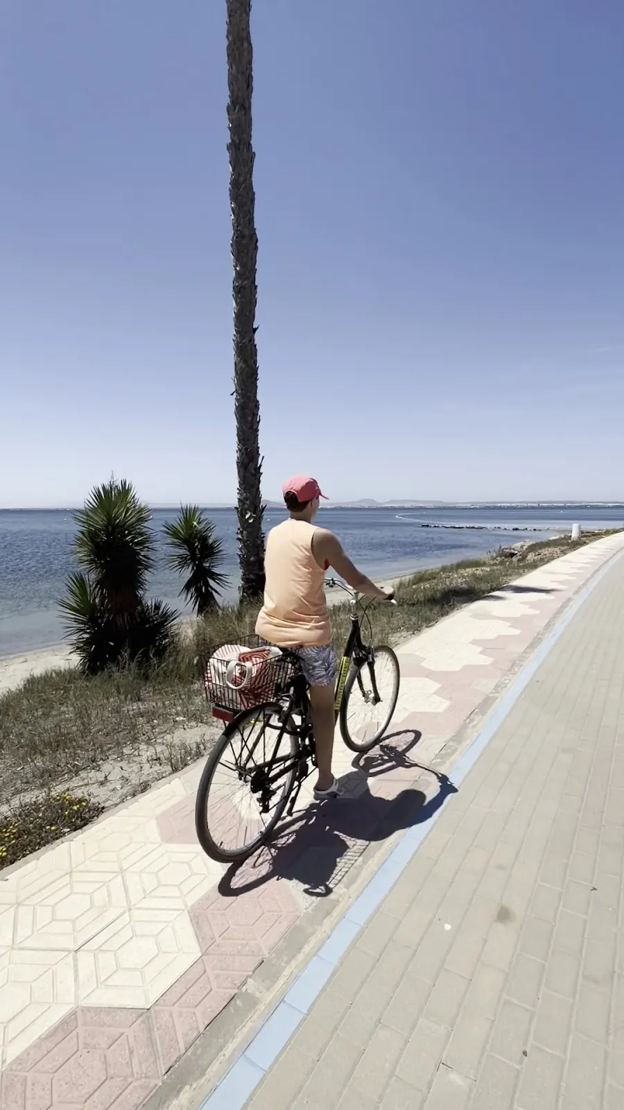 HobbyBike La Manga – tienda y taller de bicicletas, con alquiler en La Manga, imagen 5