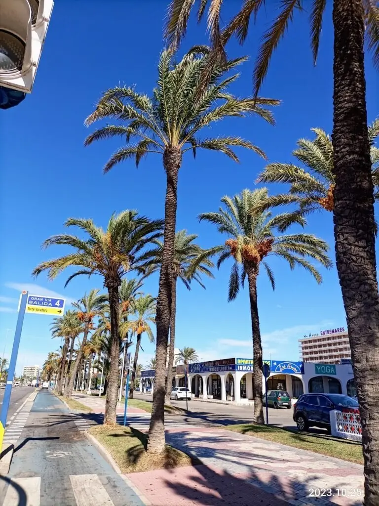 Escaparate con inmuebles en venta de Inmobiliaria Los Arcos