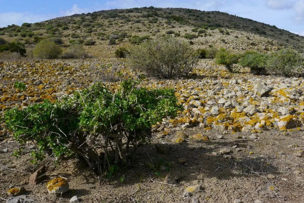 Islote de la Isla del Ciervo con aguas transparentes, La Manga del Mar Menor