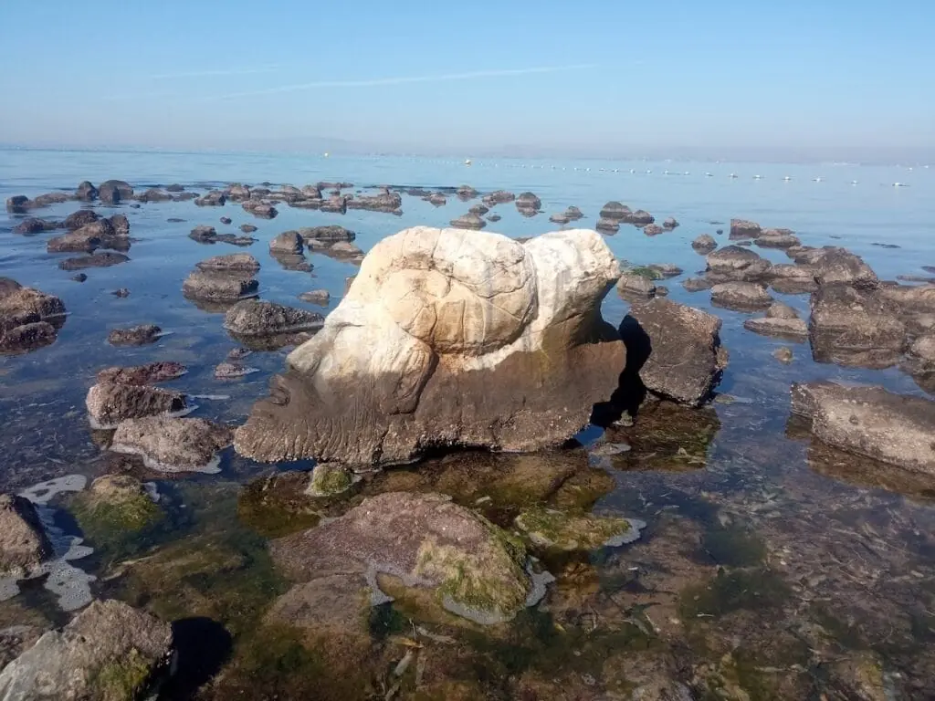 Piedra tallada con forma de fauno en el Mar Menor, La Manga