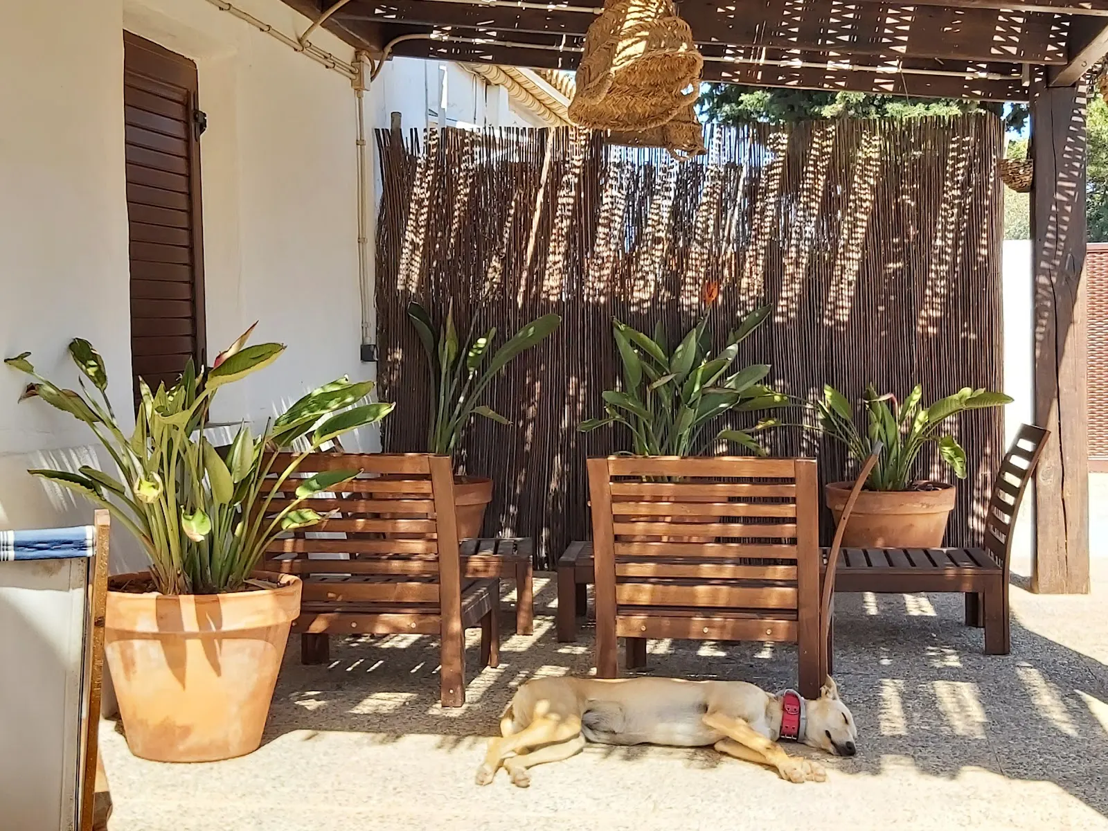 Vivienda rural de Ladera Kalblanke junto al Parque Natural de Calblanque