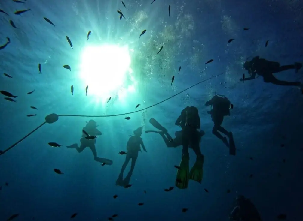 Equipo de buceo de Mangamar Dive Center en el puerto de Cabo de Palos
