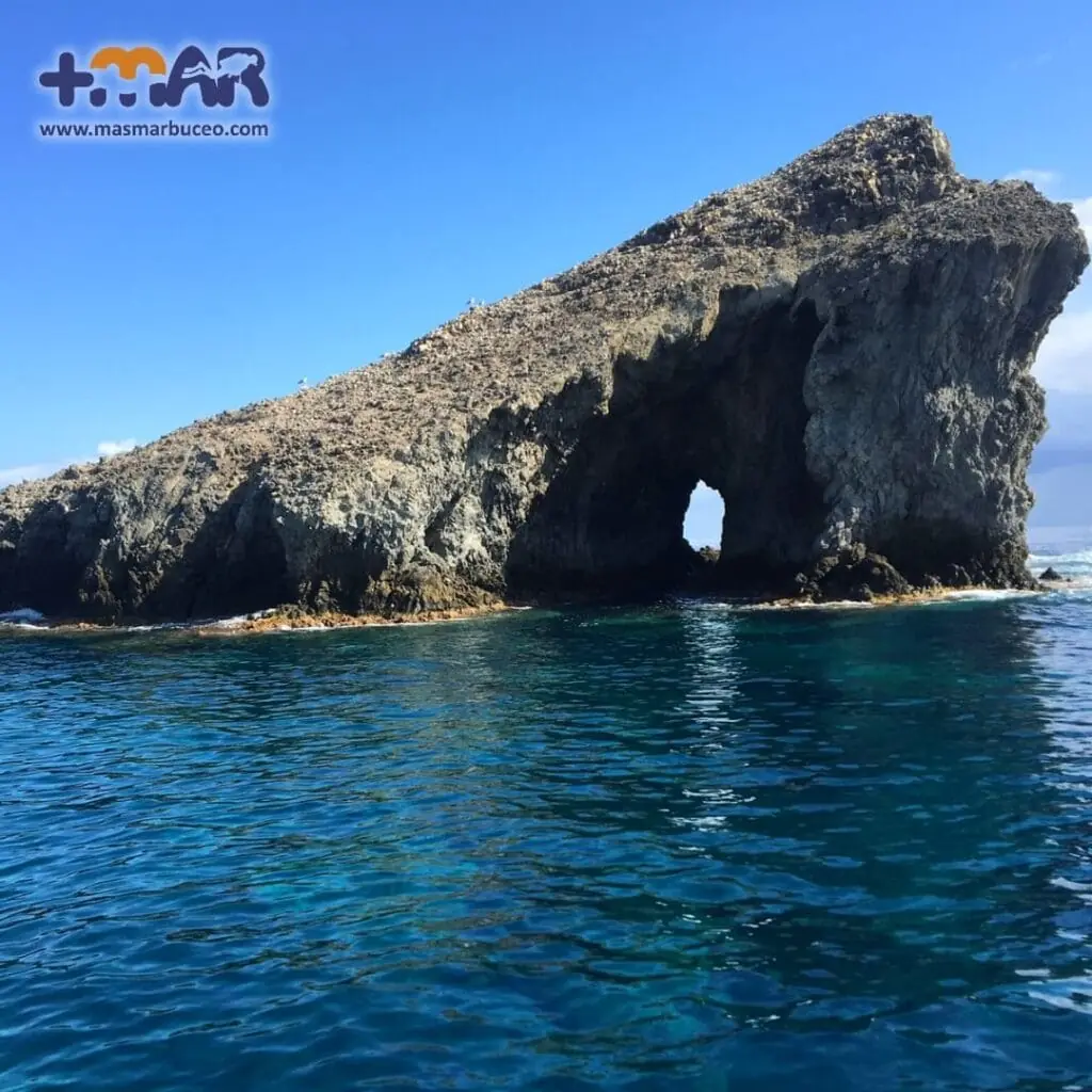 Inmersión guiada de Más Mar Buceo, Puerto Tomás Maestre