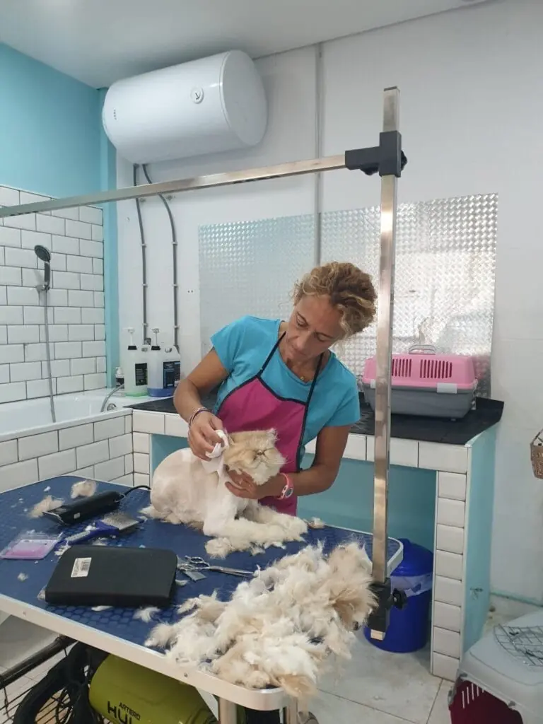 Peluquera de Pelu2 secando y cepillando a un perro sobre la mesa de trabajo