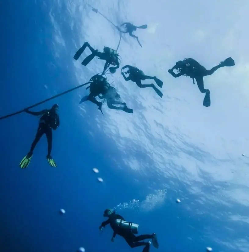 Group of divers descending on a Planeta Azul dive