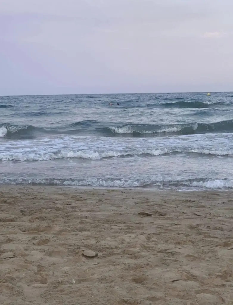 Costa rocosa de la Playa del Cura, Cabo de Palos
