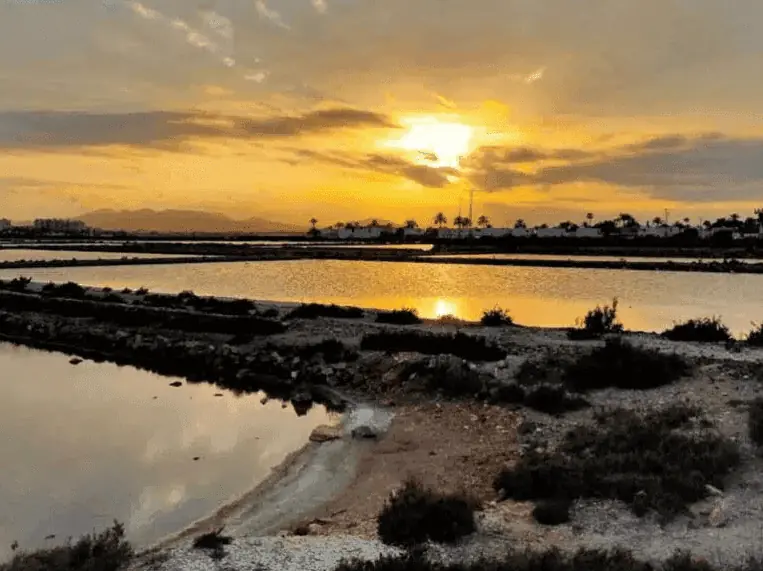 Humedal de las Salinas de Marchamalo con aves acuáticas