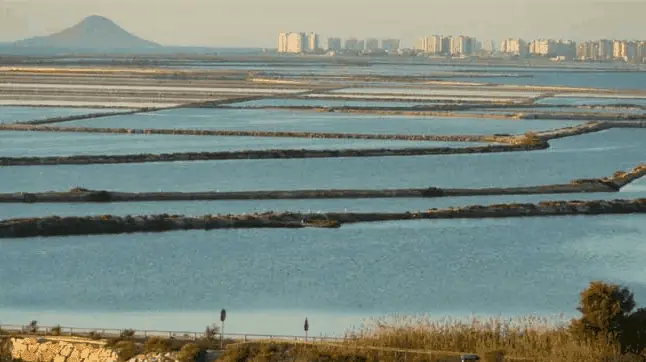 Balsas de agua de las Salinas de Marchamalo, sur de La Manga