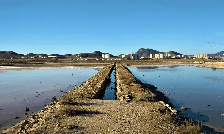 Vista general de las Salinas de Marchamalo, Cartagena