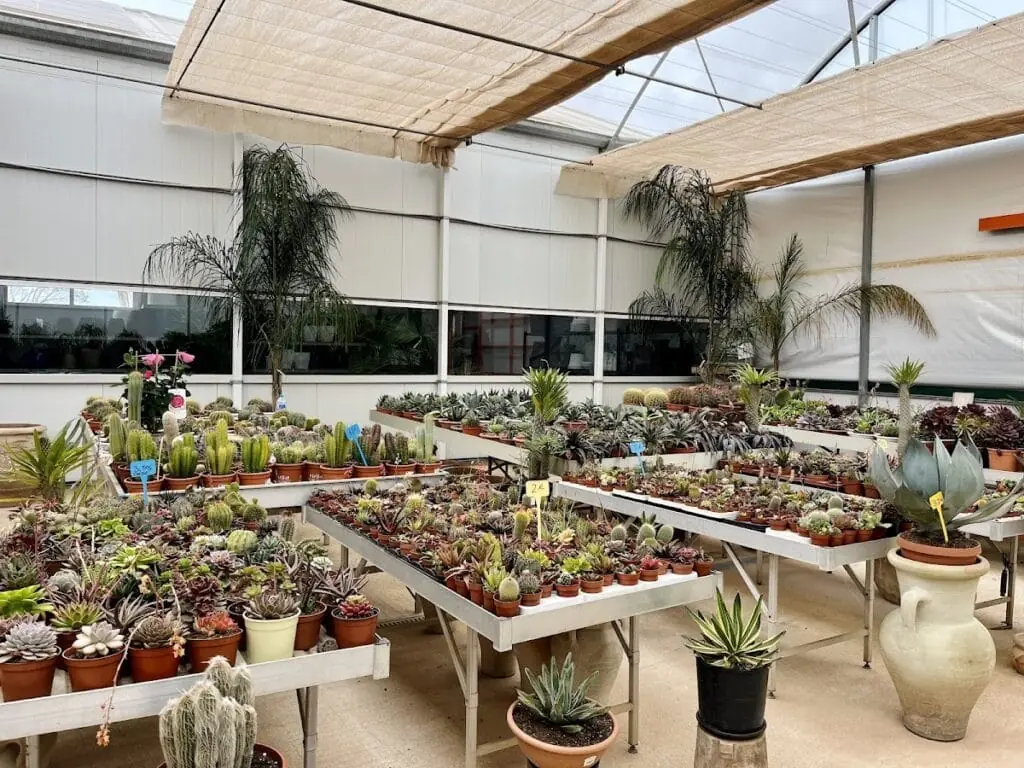 Plantas y maceteros de Villa Garden Golf en Los Belones